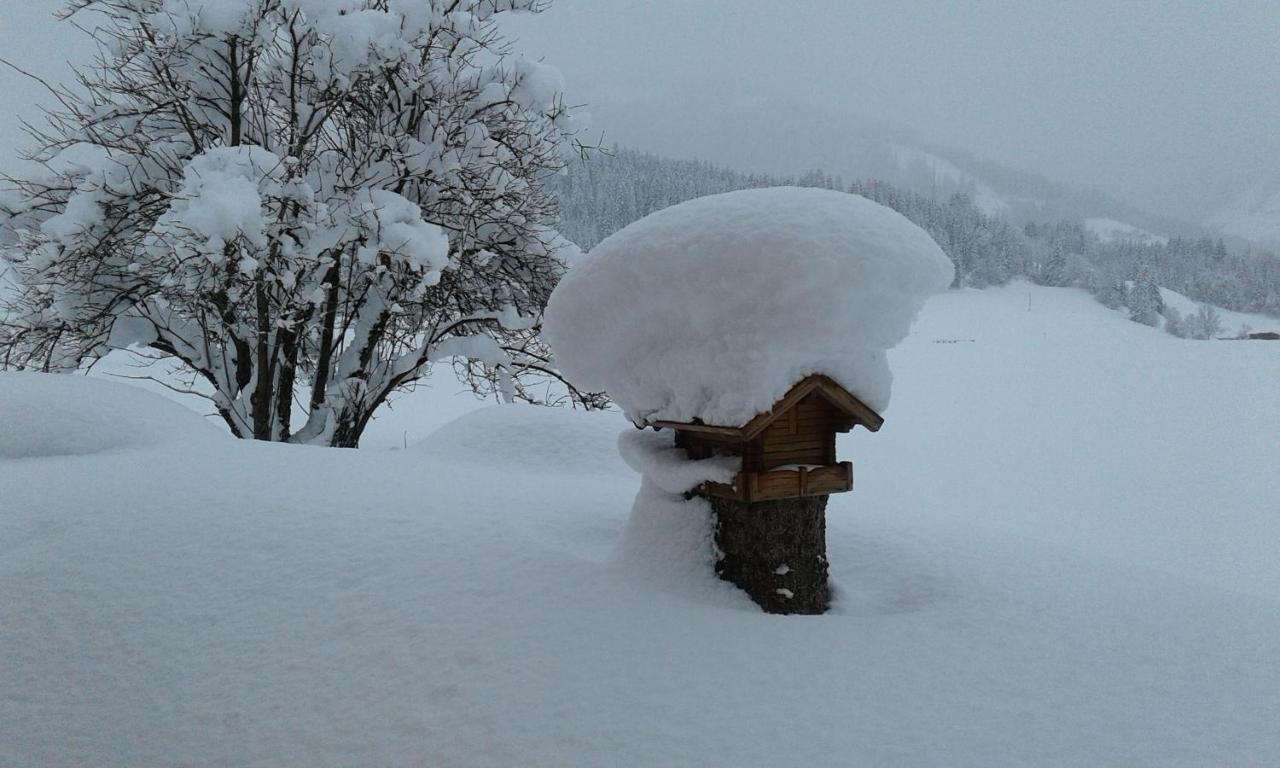 Haus Kirchner Lejlighed Flachau Eksteriør billede